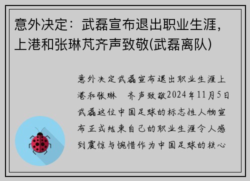 意外决定：武磊宣布退出职业生涯，上港和张琳芃齐声致敬(武磊离队)