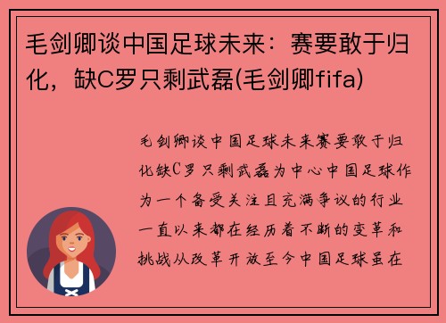 毛剑卿谈中国足球未来：赛要敢于归化，缺C罗只剩武磊(毛剑卿fifa)
