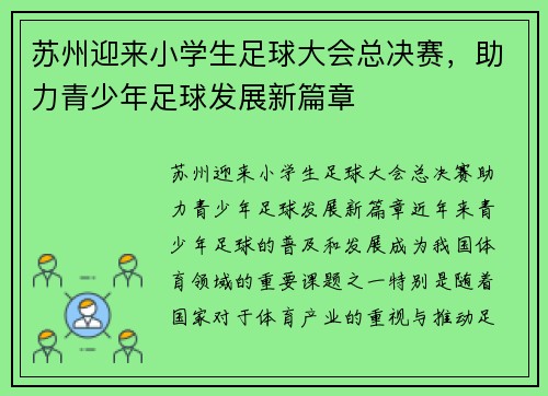 苏州迎来小学生足球大会总决赛，助力青少年足球发展新篇章